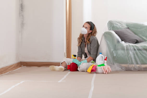 Reliable Mold Inspection And Testing contractor in Andover, MN by 24 Hour Mold Removal